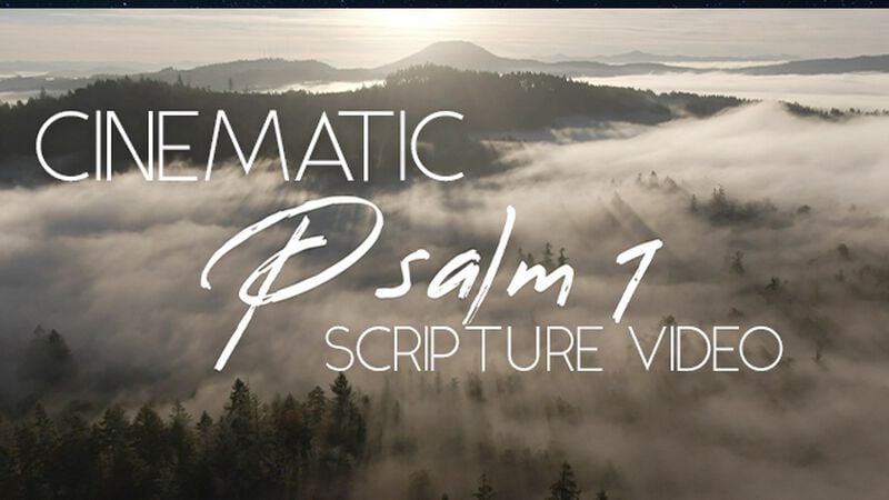 Cinematic Scripture Video Psalm 1 NIV